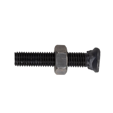 Bullone testa ovale M10x55 con dado confezione da 25 pezzi