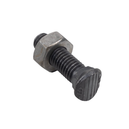 Bullone testa ovale M10x38 con dado confezione da 50 pezzi