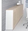 Armadio ad ante battenti con 1 ripiano da ufficio cm. 90x33,7x79,2h