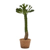 Cactus West in vaso grande pianta grassa artificiale per interno ed esterno h 53 cm