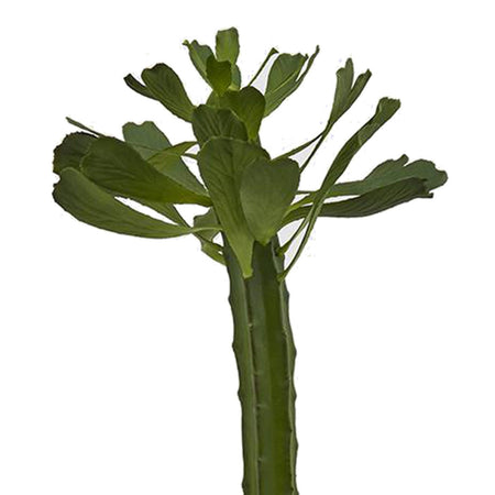 Cactus "West" in vaso grande pianta grassa artificiale per interno ed esterno h 53 cm