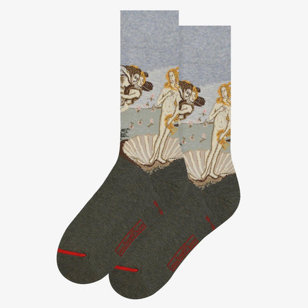 Calze Art Sox Birth of Venus Grey