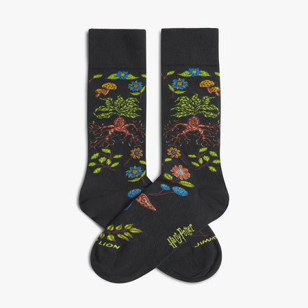 Calze Jimmy Lion Harry Potter Herbolog      multicolor