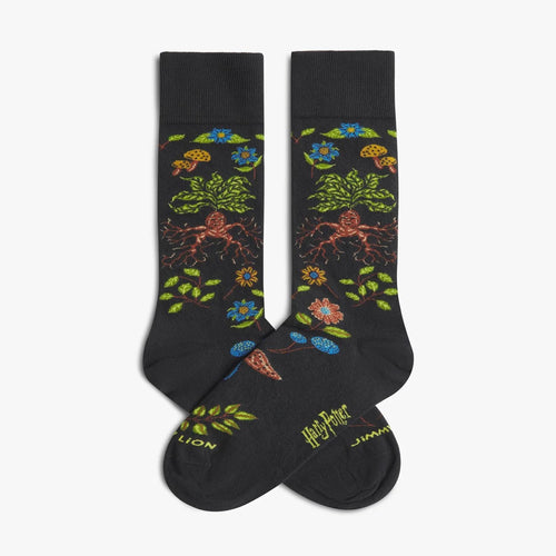 Calze Jimmy Lion Harry Potter Herbolog      multicolor