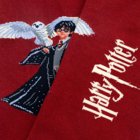Calze Jimmy Lion Harry Potter The Boy Who Lived      multicolor