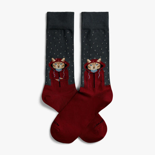 Calze Jimmy Lion Raining Cat   multicolor