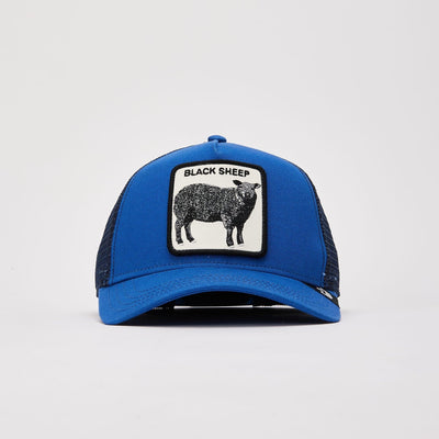 Cap Goorin Bros The Black Sheep royal blue
