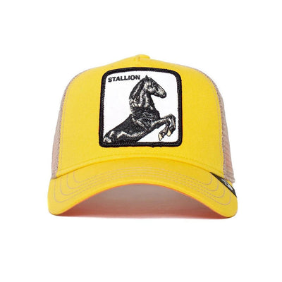 Cap Goorin Bros The Stallion yellow