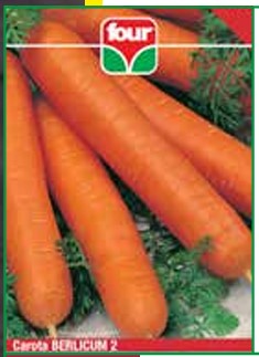 Carota Berlicum 2