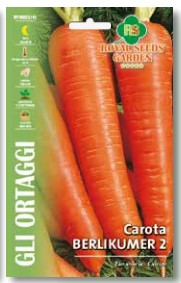 Carota Berlikumer 2