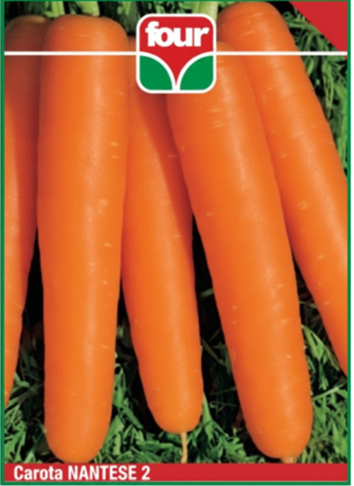 Carota Nantese 2 Semi Olter
