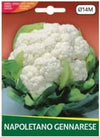 Cavolfiore Napoletano Gennarese gr.4 Semi La Semiorto Sementi