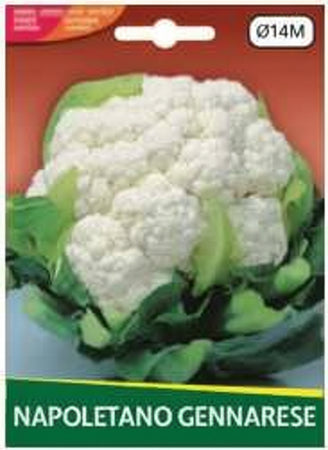 Cavolfiore Napoletano Gennarese gr.4 Semi La Semiorto Sementi