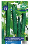 Cetriolo F1 Burpless Tasty Green gr.8 Semi Olter