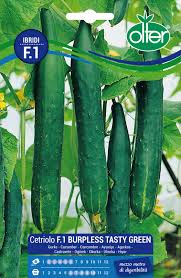 Cetriolo F1 Burpless Tasty Green gr.8 Semi Olter