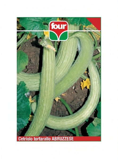 Cetriolo Tortarello Abruzzese gr.8 Semi Four