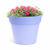 Vaso luminoso Gemma Bright rotondo con led lanterna decorazione Made in Italy per esterno