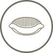 Spaghetti - Grano antico Senatore Cappelli - 350 gr - Pastificio Baradello