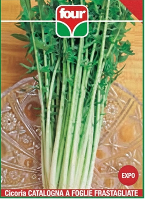 Cicoria Catalogna A Foglie Frastagliate Semi Four