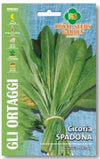 Cicoria Spadona