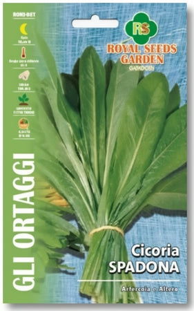 Cicoria Spadona Semi Royal Seeds