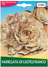 Cicoria Variegata Di Castelfranco
