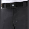 Cintura Dickies Orcutt Webbing black