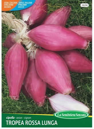 Cipolla Tropea Rossa Lunga Semi La Semiorto Sementi