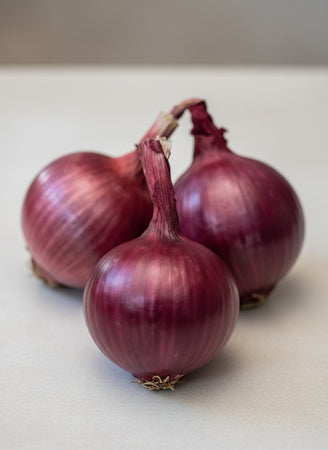 Cipolla Tropea Rossa Tonda Semi La Semiorto Sementi