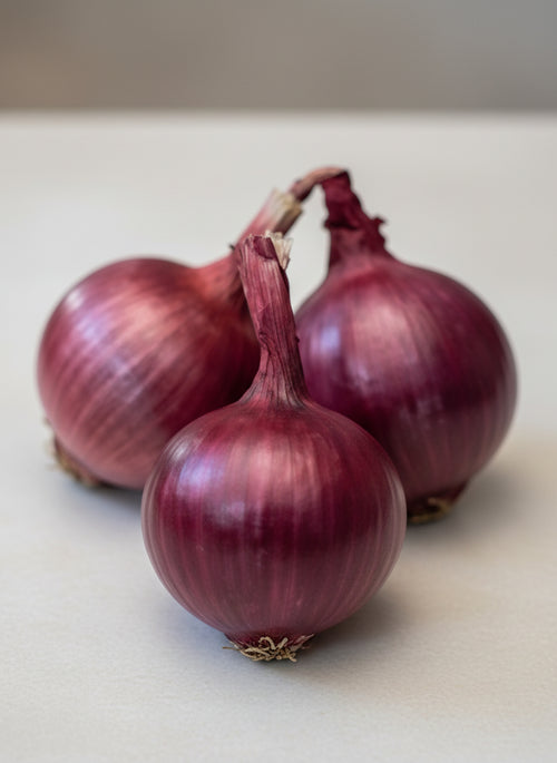 Cipolla Tropea Rossa Tonda Semi La Semiorto Sementi