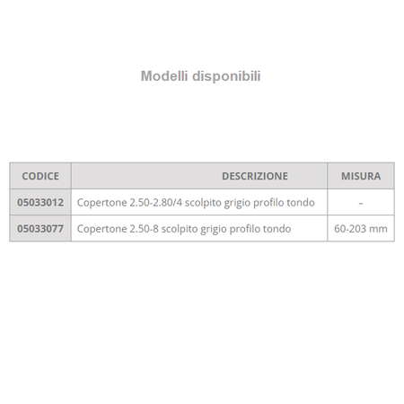 Copertoni per carrozzina disabili B1j