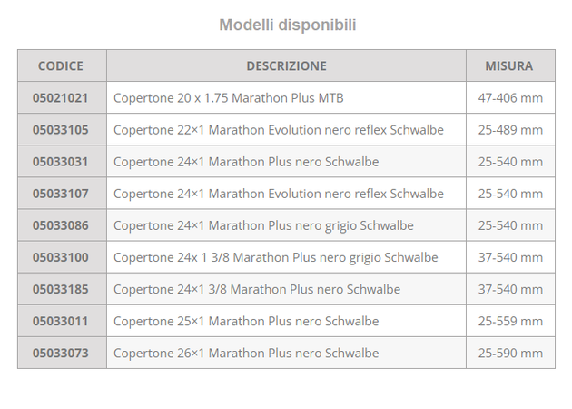 Copertoni per carrozzina disabili B3