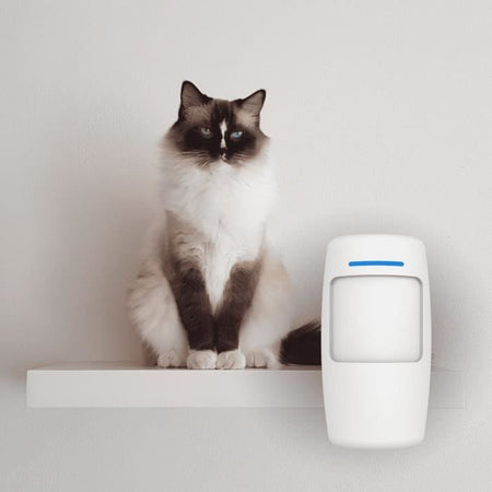 Sensore di movimento wireless Pet immune WPS301