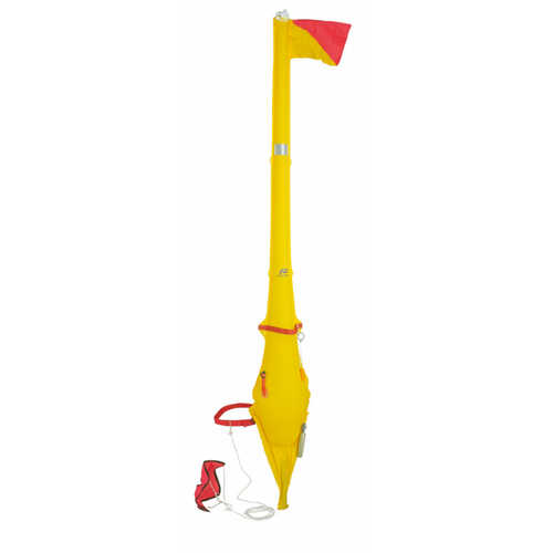 Dan Buoy Case