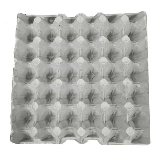 Stile semplice scatola di stoccaggio per uso alimentare PP plastica Organizer da Stile semplice scatola di stoccaggio per uso alimentare PP plastica Organizer da