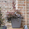 Vaso quadrato per fiori - DEROMA - Origin - 12 L - Grigio