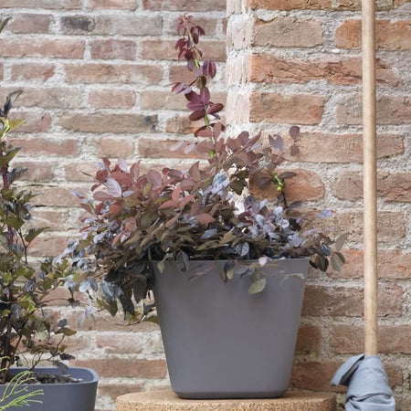 Vaso quadrato per fiori - DEROMA - Origin - 12 L - Grigio