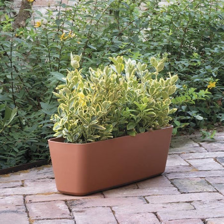Fioriera - DEROMA - Origine - 11,6 L - Terracotta