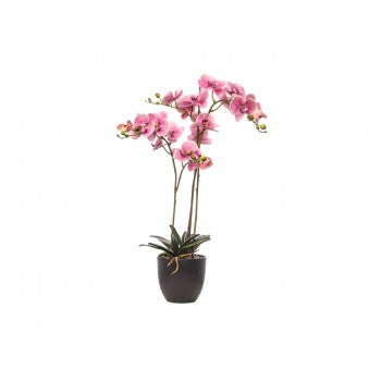 Pianta artificiale Schonherr Wedding Love Naturaltouch