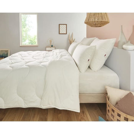 Piumino 220x240 cm DODO CHAMPS DE LIN - Caldo - 450G/m - Piumino per 2 persone - Morbido e Caldo - Antiacaro Antibatterico - Bianco