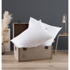 DODO Set 2 Cuscini Medi - THE ESSENTIAL - 50x70 cm - 100% Poliestere