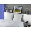 DODO Set di 2 cuscini Plumette MERIBEL 60x60cm