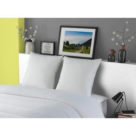 DODO Cuscino in piuma d'oca MORZINE Anti-Acarions 65x65cm bianco