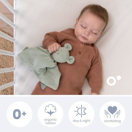 doomoo You&Me Baby Comforter - Piumino Reversibile e Confortevole - Provvisto di 2 Corpi per Trasportare l'Odore dei Genitori, Verde