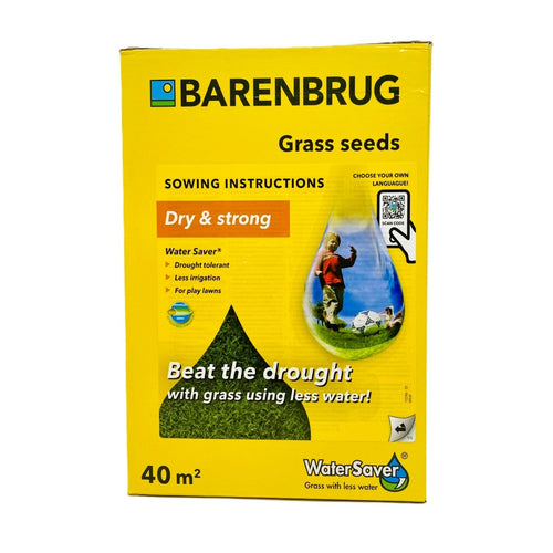 Sementi Prato Dry & Strong Water Saver Grass Seeds Kg.1 Barenbrug