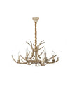 Product Image-4