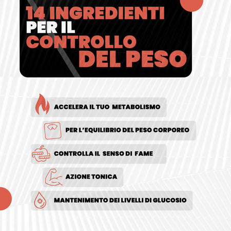 Tutto5