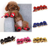 scarpe cane inveranli
