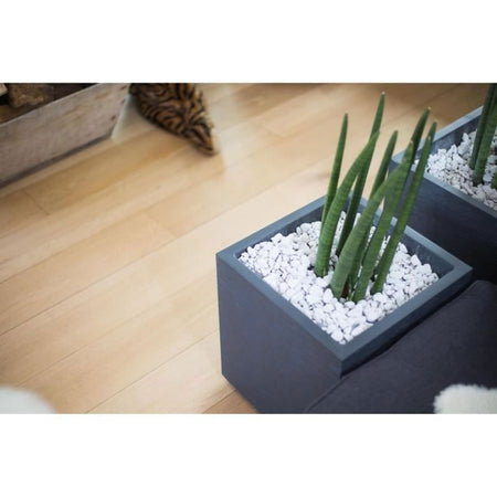 EDA Vaso di fiori Graphit 35L