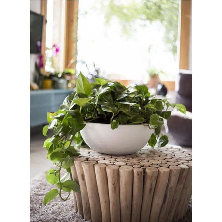 EDA PLASTIQUE - Vaso lavabo Graphit'Up  40 - 14,9L - Bianco lime
